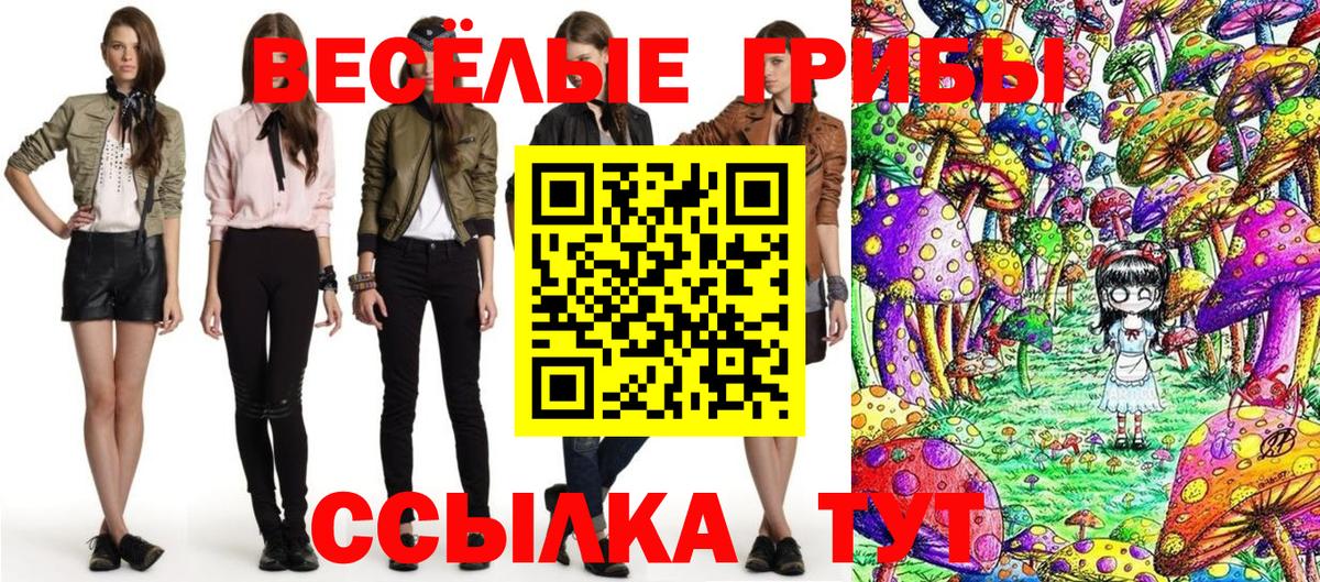 Галлюциногенные грибы Cubensis  Вход с VPN  Тара 