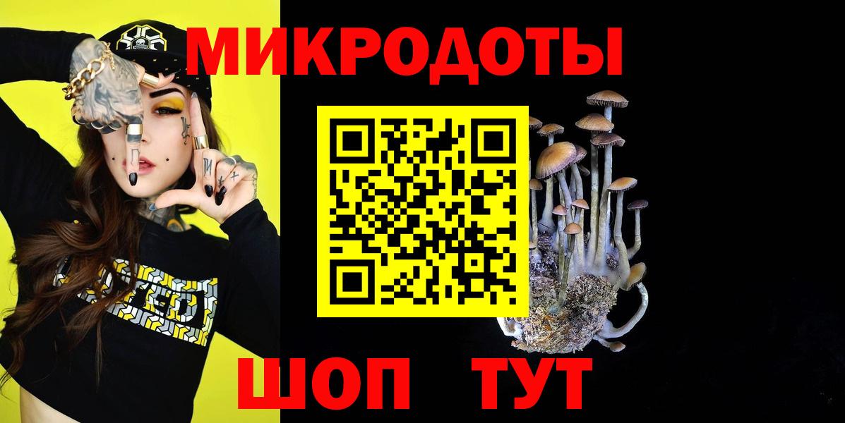 Галлюциногенные грибы прущие грибы Тара